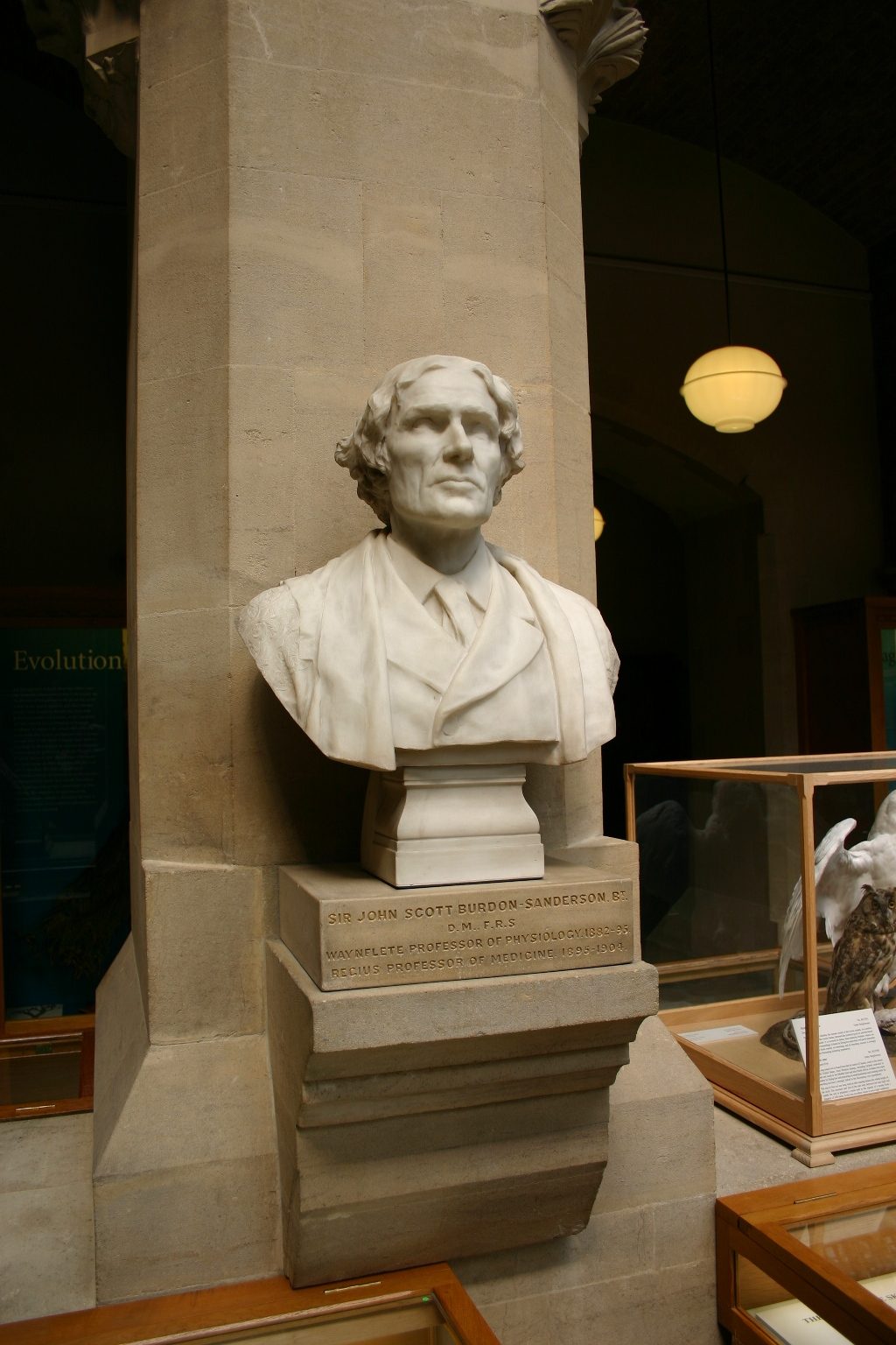 John Scott Burdon-Sanderson's bust, Oxford University Museum of Natural History, Oxford.JPG